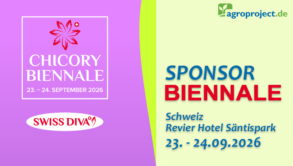 Sponsor Chicory Biennale 2026